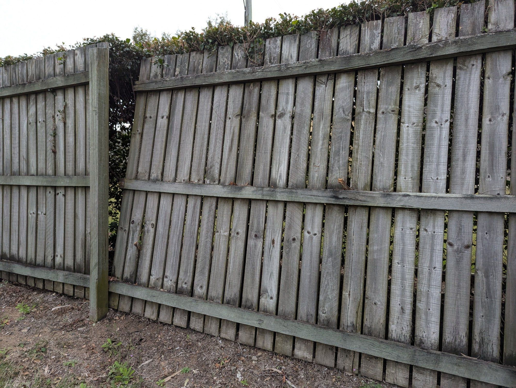 Choose reliable fencing contractors in the Macedon Ranges
